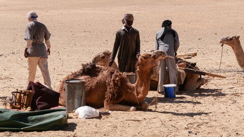Mauritanie 2019, P1022274
