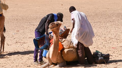 Mauritanie 2019, P1022275