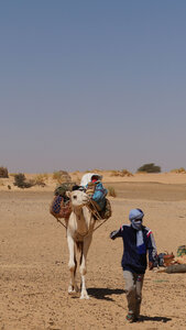 Mauritanie 2019, P1022278