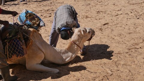 Mauritanie 2019, P1022279