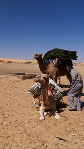 Mauritanie 2019, P1022280