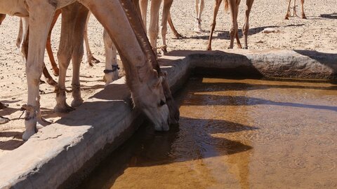 Mauritanie 2019, P1022284