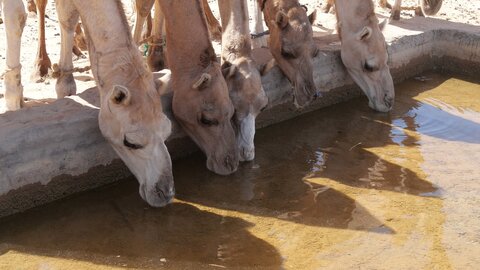 Mauritanie 2019, P1022286