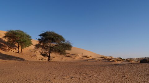 Mauritanie 2019, P1022289