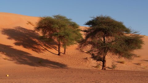 Mauritanie 2019, P1022290
