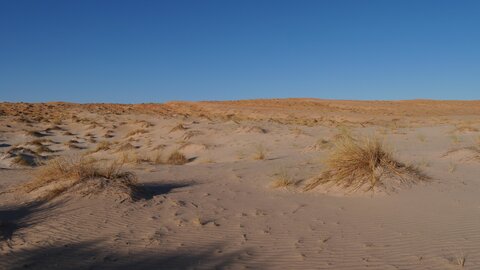 Mauritanie 2019, P1022303