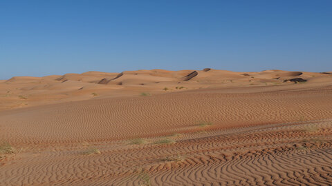 Mauritanie 2019, P1022305