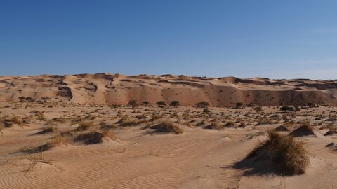 Mauritanie 2019, P1022310