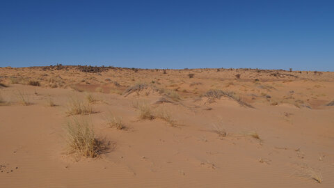 Mauritanie 2019, P1022312