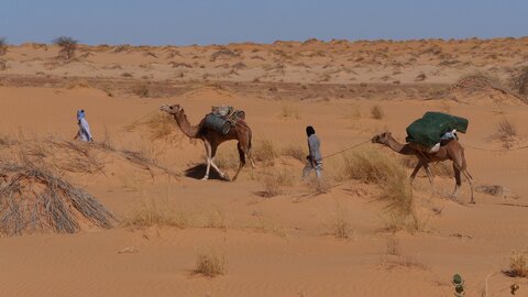 Mauritanie 2019, P1022315