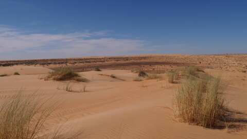 Mauritanie 2019, P1022316