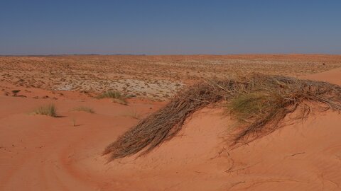 Mauritanie 2019, P1022317