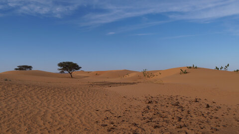 Mauritanie 2019, P1022338