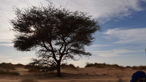 Mauritanie 2019, P1022342