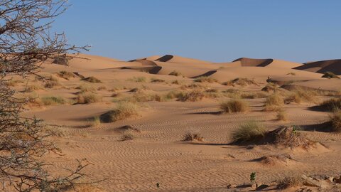 Mauritanie 2019, P1022354