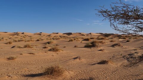 Mauritanie 2019, P1022355