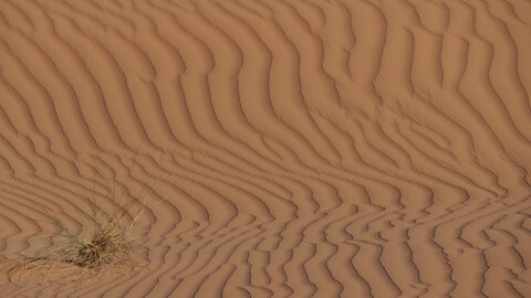 Mauritanie 2019, P1022357