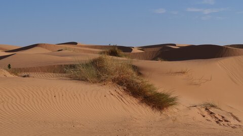 Mauritanie 2019, P1022358