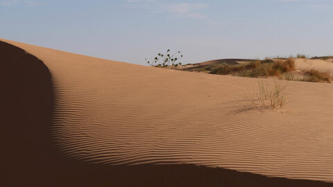 Mauritanie 2019, P1022366