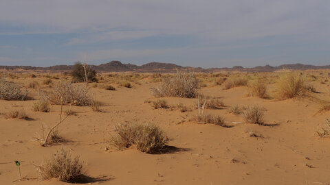 Mauritanie 2019, P1022367