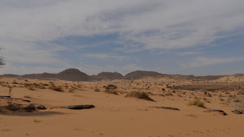 Mauritanie 2019, P1022368