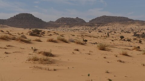 Mauritanie 2019, P1022370