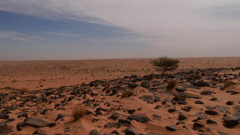Mauritanie 2019, P1022374