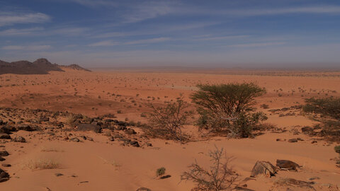 Mauritanie 2019, P1022376