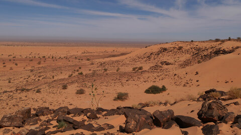 Mauritanie 2019, P1022378