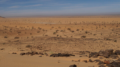 Mauritanie 2019, P1022379