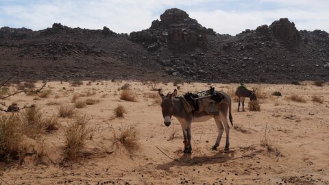 Mauritanie 2019, P1022383