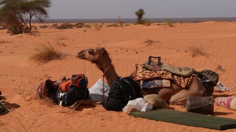 Mauritanie 2019, P1022388