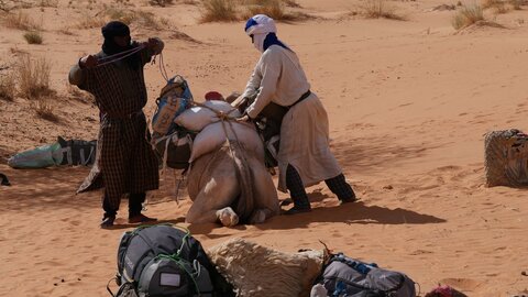 Mauritanie 2019, P1022389