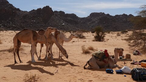 Mauritanie 2019, P1022390