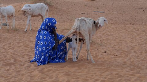 Mauritanie 2019, P1022406