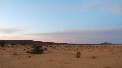 Mauritanie 2019, P1022414