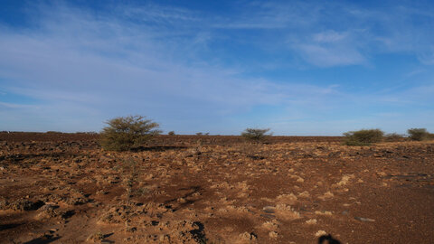 Mauritanie 2019, P1022425