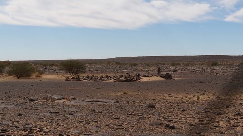 Mauritanie 2019, P1022427