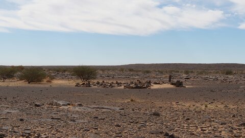 Mauritanie 2019, P1022429