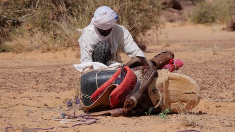 Mauritanie 2019, P1022436