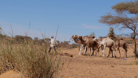 Mauritanie 2019, P1022457