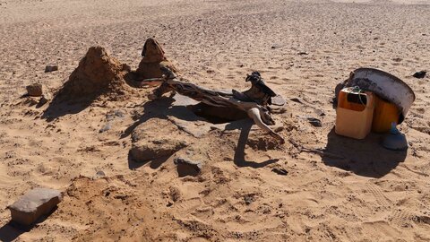 Mauritanie 2019, P1022459