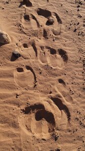 Mauritanie 2019, P1022465