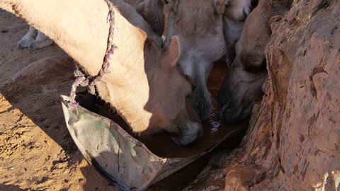 Mauritanie 2019, P1022467