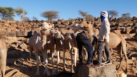 Mauritanie 2019, P1022470