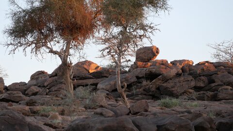 Mauritanie 2019, P1022487