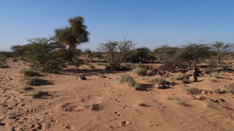 Mauritanie 2019, P1022497