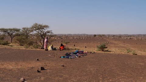Mauritanie 2019, P1022499