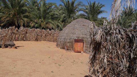 Mauritanie 2019, P1022513
