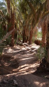 Mauritanie 2019, P1022523
